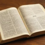 bible verse on job