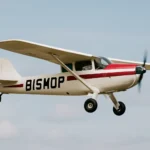 bishop air service