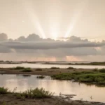 Ordered creation with light, waters, land, vegetation, and sky